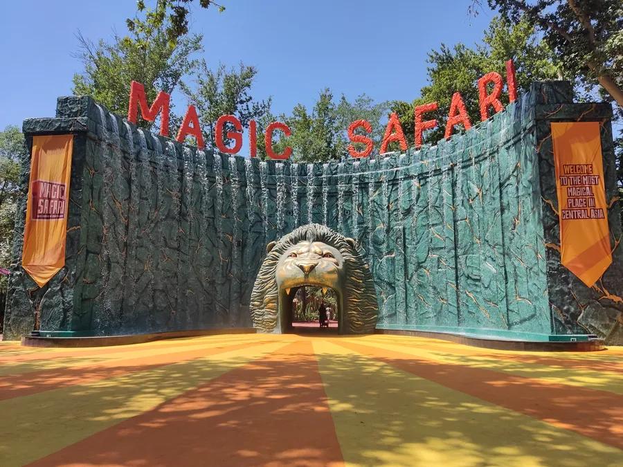 Новогодние шоу в Magic Safari